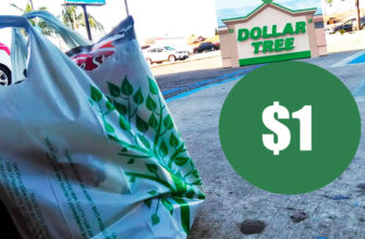Dollar tree в США: можно ли питаться за 1$?