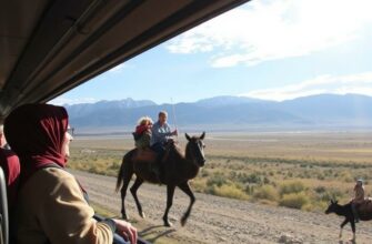 Overland Travel Options for Independent Globetrotters: Your Ultimate Guide to Exploring the World on the Road