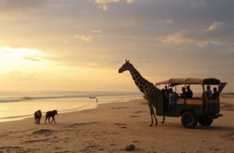 Сафари на Занзиюаре: когда лес встречается с океаном