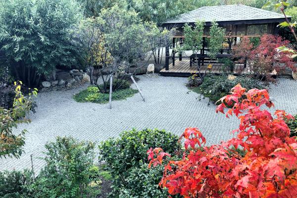 Японский сад в Ива-парке Тюмени