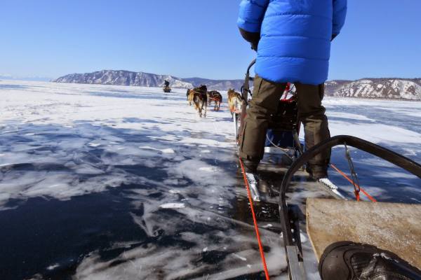 Байкал и собачью упряжки зимой